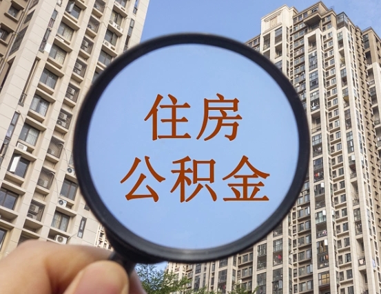 杭州退休后查不到公积金明细了吗（退休后公积金查询不到原因）